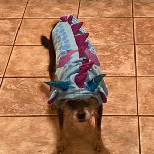 Meet your Posher, Robert